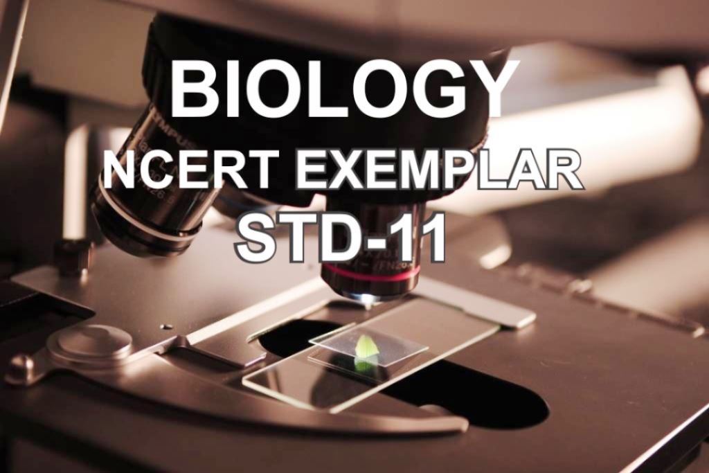 NCERT EXEMPLAR OF BIOLOGY STANDARD 11 IN GUJARATI