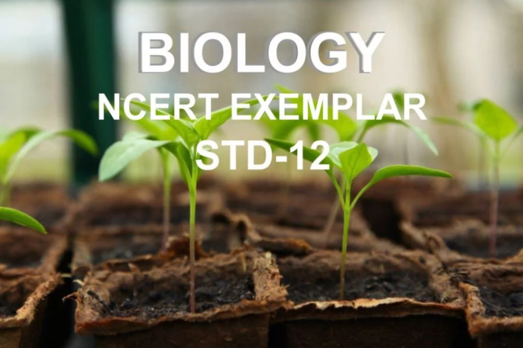 NCERT EXEMPLAR OF BIOLOGY STANDARD 12 IN GUJARATI