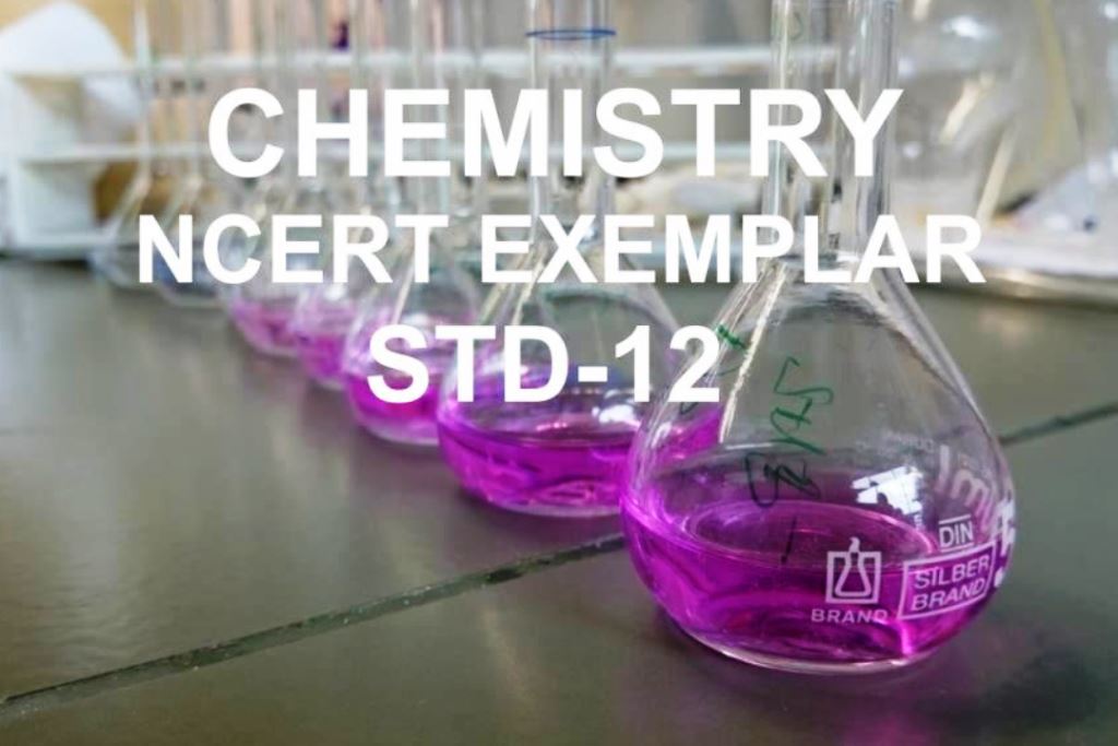 NCERT EXEMPLAR OF CHEMISTRY STANDARD 12 IN GUJARATI